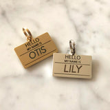 "Hello My Name Is (Dog's Name)" - Gold - Pet ID Tag